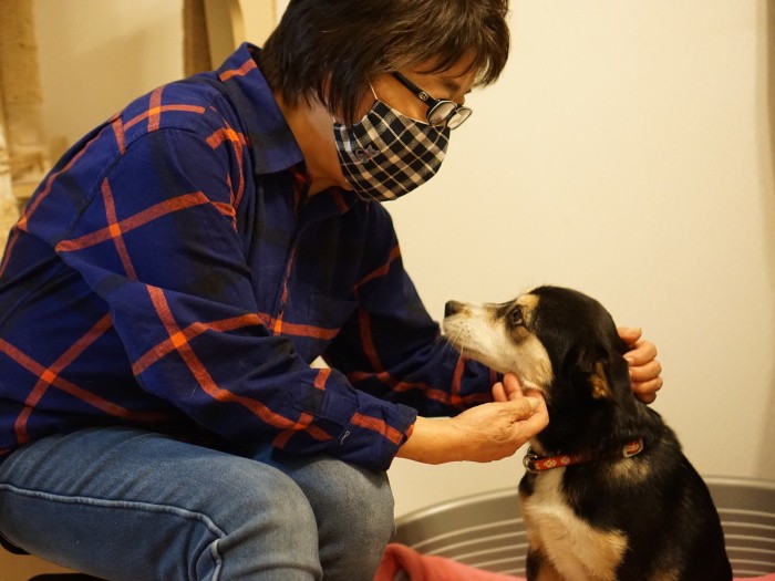 「うちに来る前、どんな暮らしをしていたのかなあ」