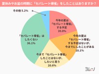 セパレート帰省について