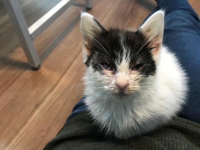 保護してから１週間経った頃