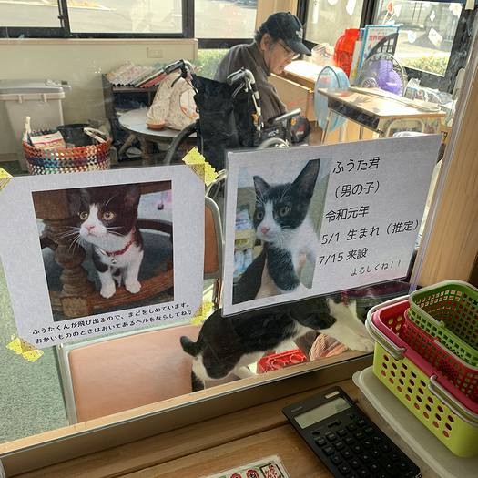 窓に貼られた風太くんの紹介と注意書き