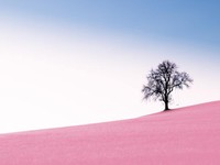 悲劇のヒロイン役にはもう立候補しない。不幸探しからの脱却へ