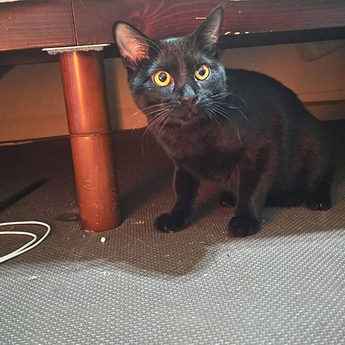 人は苦手、栗本さんには少しずつ心を開いた