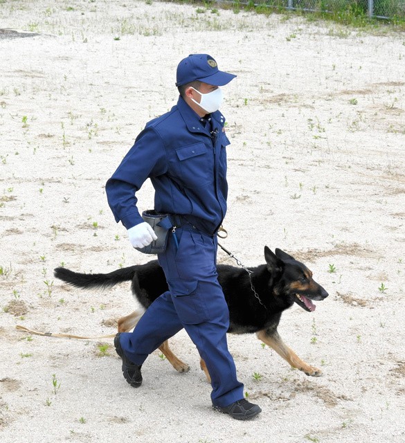 坂井巡査部長のかけ声で訓練するドン号=2021年5月10日午前10時10分、広島市西区、松尾葉奈撮影