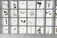 「バルトパビリオン」の展示一部