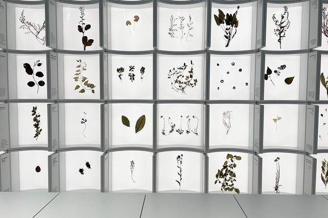 「バルトパビリオン」の展示一部