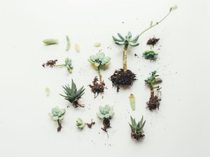 一期一会を積み重ねて、自分が「根差せる場所」を増やしていこう