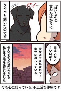 【漫画】『シロという名の犬』8（大友しゅうまさん提供）