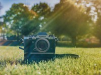 背が低く丸顔の私が偽りなく写る写真が、今の自分に問いかけてくる