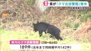 宮城県にクマ出没警報　７月中旬から目撃情報が急増