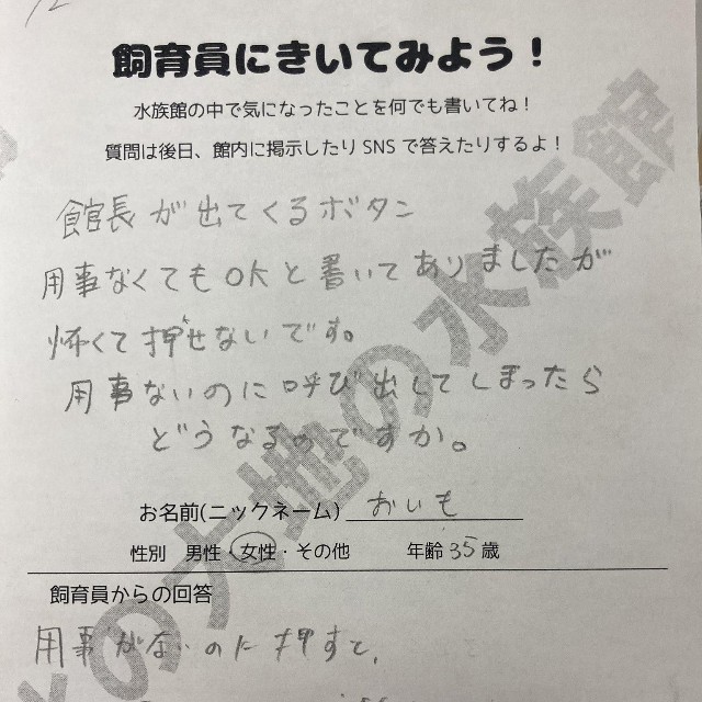 用事がない時は、今日の見どころを教えてくれるんだそうです(山内創さん提供)