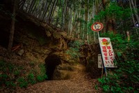 異世界感のある隧道の入口／一人旅研究会（@hitoritabiken）さん提供