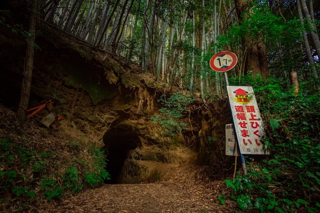 異世界感のある隧道の入口／一人旅研究会（@hitoritabiken）さん提供