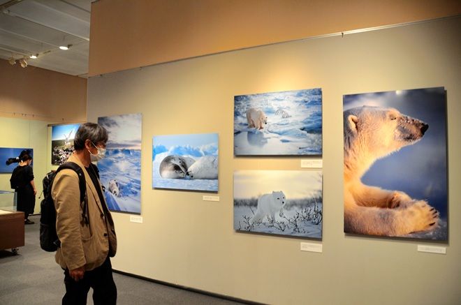 VOX POPULI: The Alaskan village that birthed a nature photographer | The Asahi Shimbun: Breaking News, Japan News and Analysis