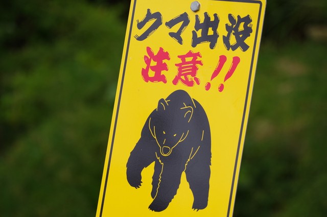 約4割が「現在、住んでいる地域でクマなど野生動物被害の不安を感じる」　※画像はイメージです（KATSU/stock.adobe.com）