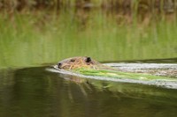 ※画像はイメージです(Yunosuke Hirai／stock.adobe.com)