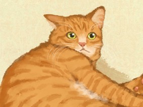 体と心を丸ごと、バランスをみて、乱れを整える　犬・猫の中医学