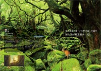 「もののけ姫」より屋久島の神秘的な風景をお届け