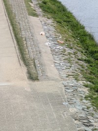 大量のインバウンドで溢れる鴨川は、毎朝ゴミだらけ…（画像提供：花街ぞめき、正脇良平 Ryohei Masawakiさん）