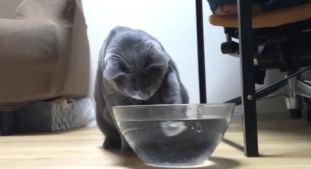 同じことの繰り返し…（吉田輝和さん提供）