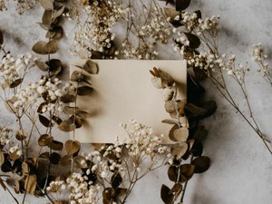 書くことは正直になること。長く溝があった祖母へ葬儀で読んだ手紙