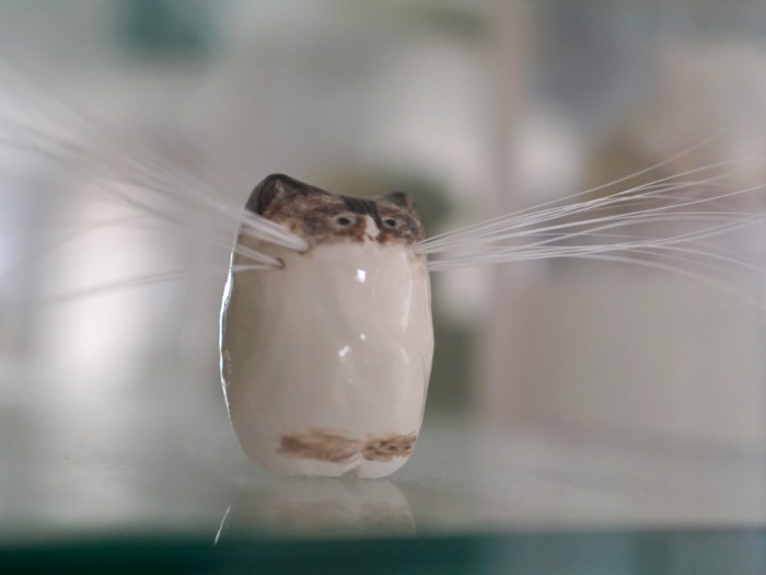 知人の作家さん手作りの「ねこひげスタンド」。落ちていたひげはここへ