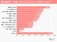 夏の帰省の悩み第1位は「義実家との会話がしんどい」（提供画像）