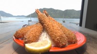 究極のエビフライ！日生湾が一望できるカフェの数量限定ランチ　自家製バスクチーズケーキも　岡山【ほっとマルシェ】