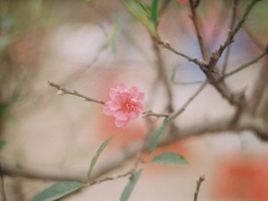 地元の台風被害。東京にいる私は「もう部外者」と突きつけられた気がした