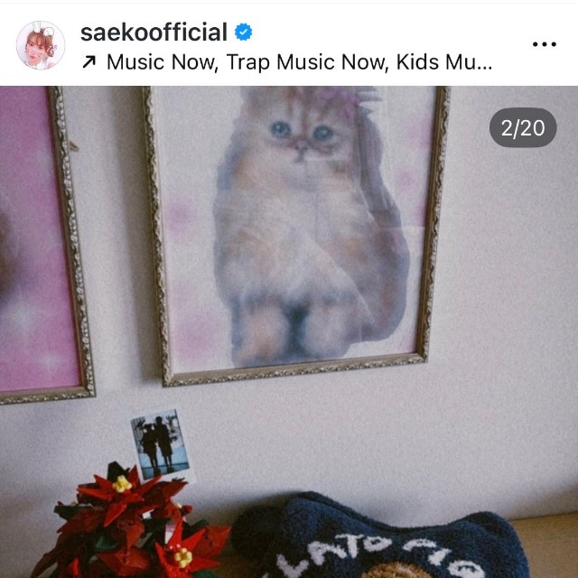 （紗栄子公式インスタグラムより）