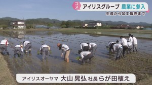 アイリスグループが農業に参入　米の生産から販売まで　安定供給を目指す