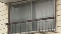 「暴言吐かれた。死んでもいいと…」同居のめい（46）を包丁で刺し殺害しようとした疑い　74歳の男逮捕　岡山・倉敷市