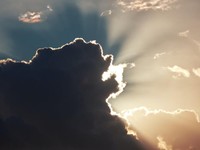 インドで食べた手巻き寿司とお味噌汁で実感した「幸せ」の意味