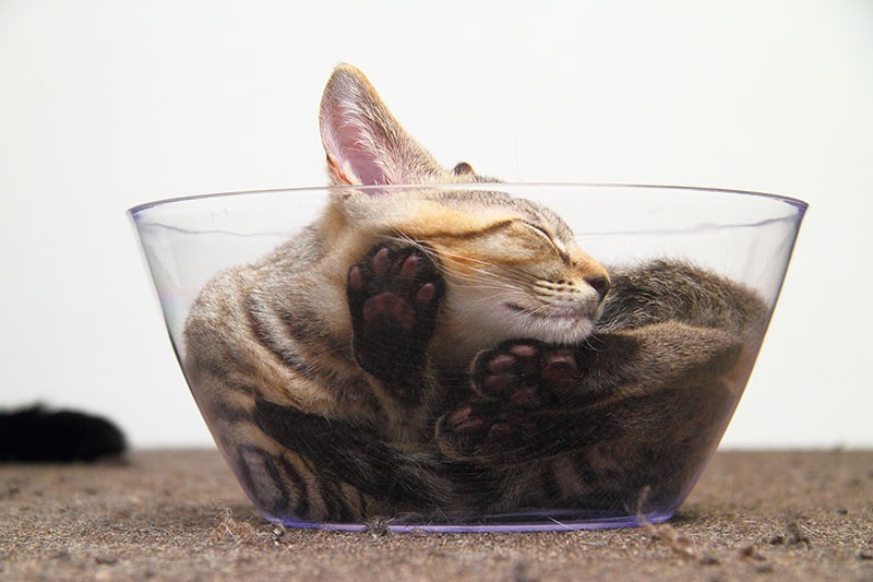 足の裏はガラスボウルでも気軽に堪能できるかも