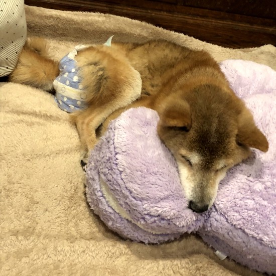 あー気持ちいい〜