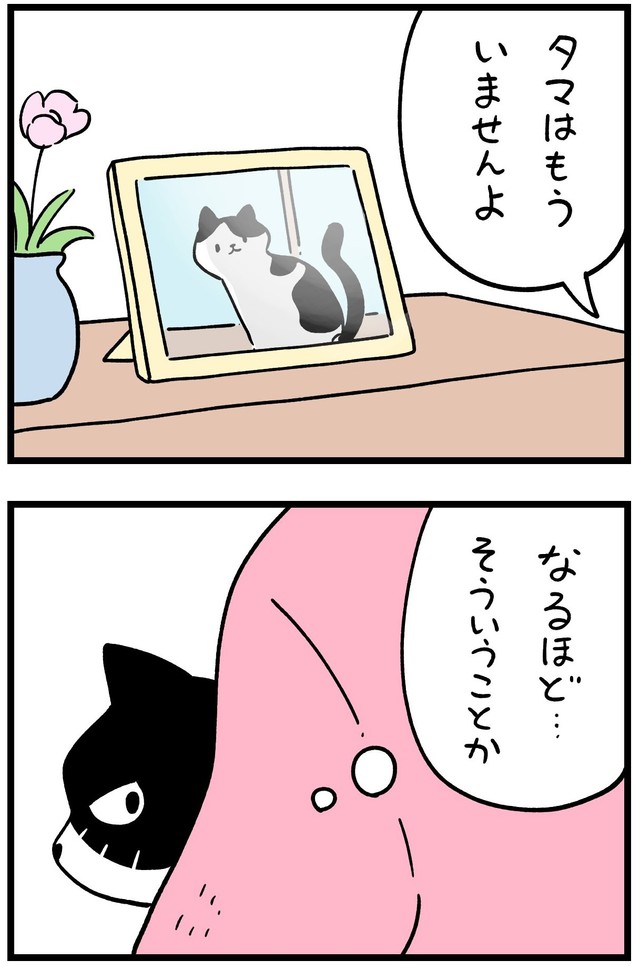 すでに「タマ」は他界してしまっている　©しろやぎ秋吾