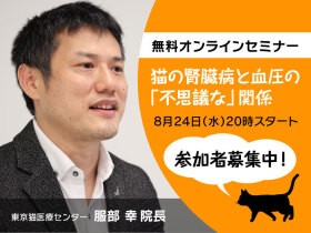 【参加者募集】猫の腎臓病と血圧をやさしく解説　服部幸獣医師の無料セミナー