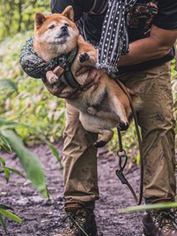 山でどろんこになるまで遊ぶたけちよちゃん（提供：柴犬たけちよさん）