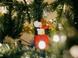 異動する度に何かしらのトラブルに会う私は、見せ方を変えません。