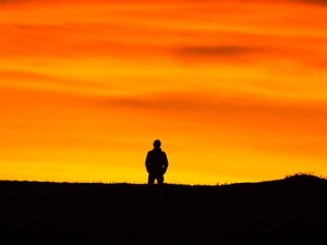 父がいなくなって初めての父の日。こんなに寂しくなるなんて去年の私は知らない