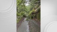 提供：香川県