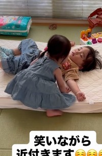 おしゃべりが止まらない妹ちゃん！（提供：＠lise_1228さん）
