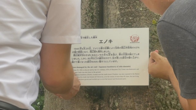 新たに取り付けられた説明看板