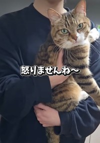 怒らないけれど甘えてもいない？（投稿からキャプチャ）