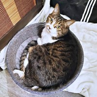 笑顔と癒やしをもたらしてくれたちーちゃん（画像提供：ミヤモトナオキさん）