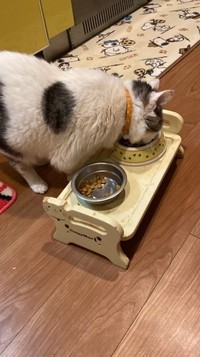 自力でご飯が食べられるまでに…！