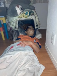 （DNZKさん提供）