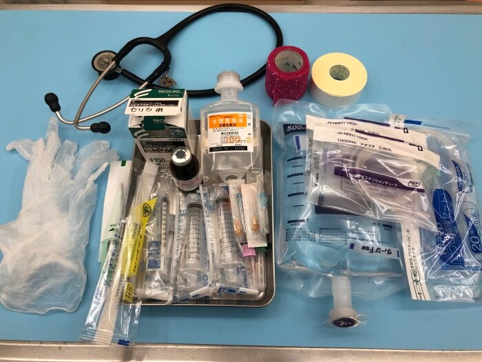 セリカの抗がん剤治療用セット（山中さん提供）