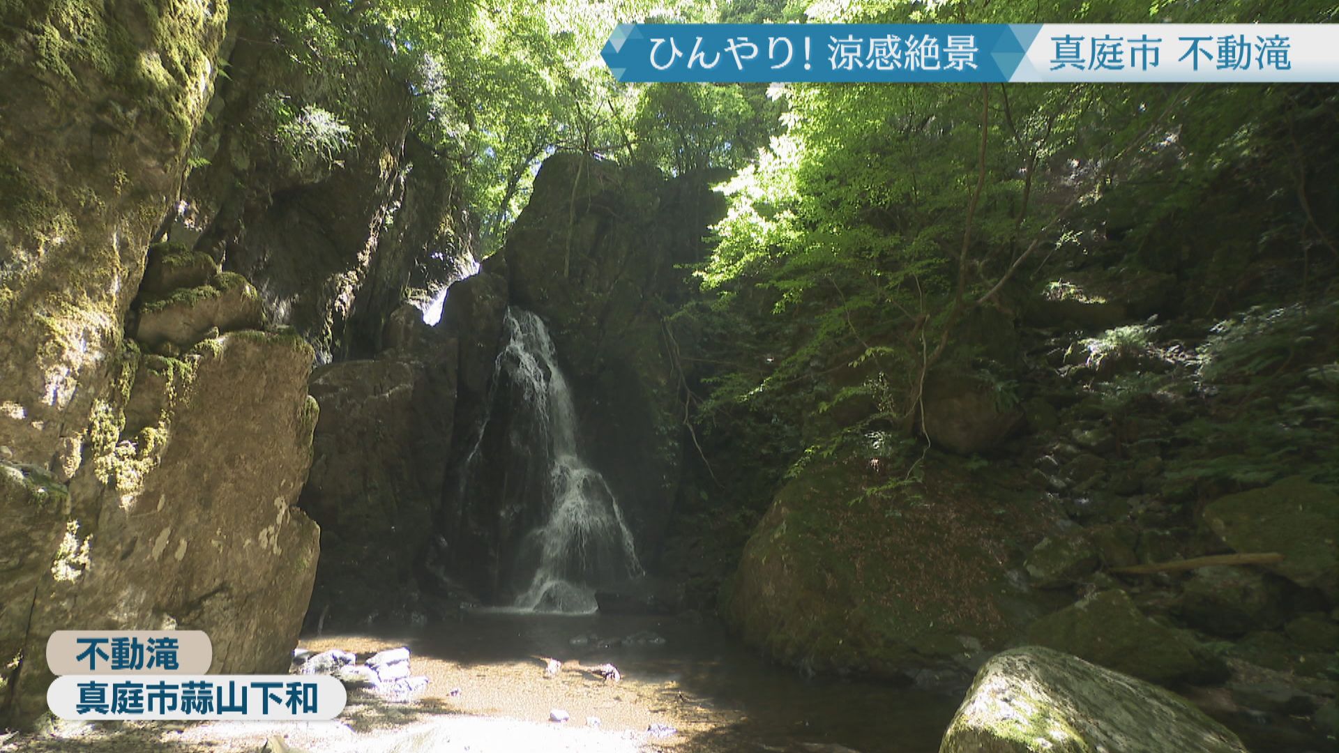 涼を求めて…】夏でも25℃前後 真庭市の不動滝で楽しむ「流しそうめん