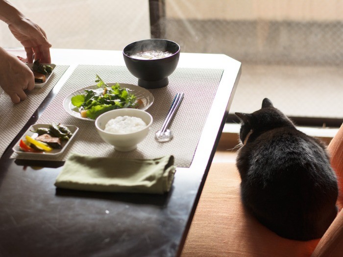 「ご飯だよ〜」（小林写函撮影）