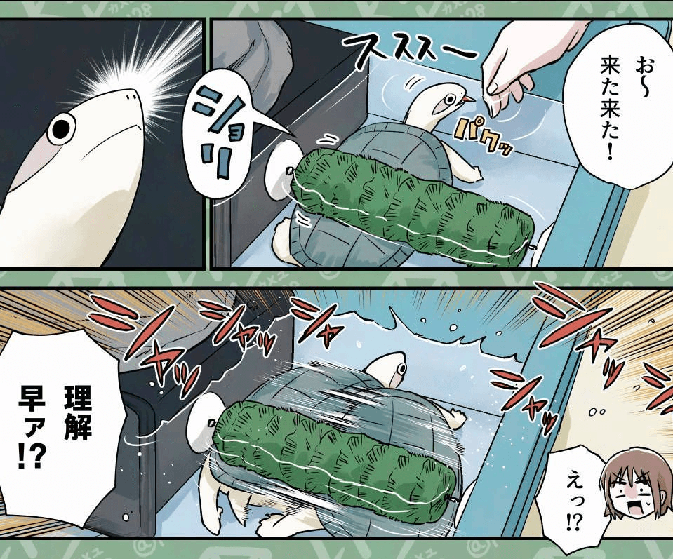 一度使ったら止められない！（カメユさん提供）